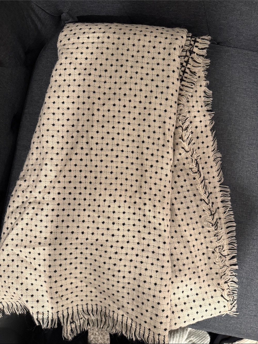 Beige Polka Dot Fringe Skirt